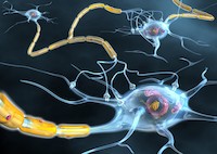 Zdroj: Isifa/Thinkstock